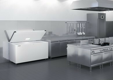 Zamrażarka gastronomiczna skrzyniowa 404L | Liebherr EFL 4656 001