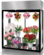 Przeszklona szafa chłodnicza do kwiaciarni - na kwiaty Rapa SCh-AK 1600