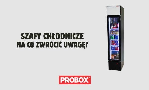 Szafy chłodnicze – na co zwrócić uwagę przed zakupem?