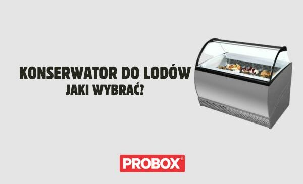 Jaki konserwator do lodów wybrać? - Pomagamy dobrać odpowiedni