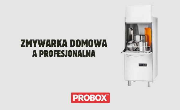 Zmywarka profesjonalna a domowa